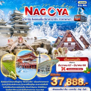 Snow Monkey NAGOYA นากาโน่ ลิงออนเซ็น ชิราคาวาโกะ ทาคายาม่า 6วัน 4คืน