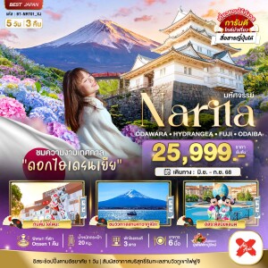 ทัวร์ญี่ปุ่น นาริตะ โอดาวาระ  ฟูจิ โอไดบะ 5 วัน 3 คืน