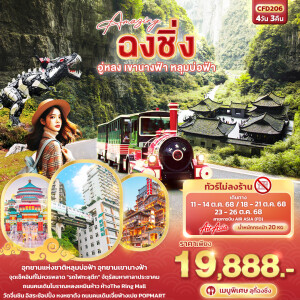 CFD206 ทัวร์จีน  ฉงชิ่ง อู่หลง เขานางฟ้า หลุมบ่อฟ้า 4วัน 3คืน