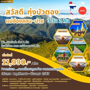 ทัวร์ทุ่งบัวตอง - แม่ฮ่องสอน - ปาย 3 วัน 2 คืน