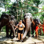 โปรแกรมท่องเที่ยวเชิงอนุรักษ์ กิจกรรมให้อาหารและอาบน้ำช้าง โดย Elephant care samui ฟรีรถรับส่ง สำหรับ 1 ท่าน, เกาะสมุย