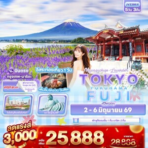 ญี่ปุ่น 5 วัน 3 คืน Kawaguchiko Lavender TOKYO FUJI YOKOHAMA