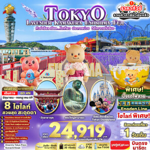 RJ-VZNRT003 ญี่ปุ่น 6 วัน 4 คืน ทัวร์ เรียล เรียล...โตเกียว ประกายม่วง วิถีเกาะเอโนชิมะ TOKYO LAVENDER KAMAKURA ENOSHIMA FUJI 6D4N