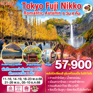 GO2NRT-TG054 ทัวร์ญี่ปุ่น โตเกียว ฟูจิ นิกโก ฤดูใบไม้ร่วงแสนโรแมนติก 6 วัน 4 คืน