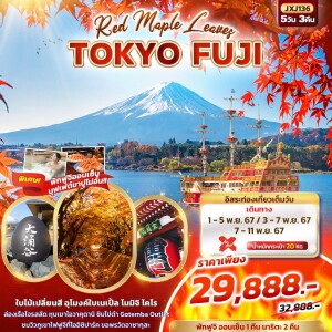 ทัวร์ไฟไหม้ Red Maple Leaves TOKYO FUJI 5วัน 3คืน