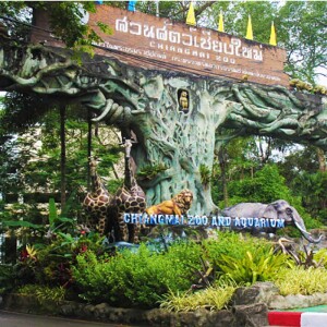 Chiang Mai Zoo บัตรเข้าชมสวนสัตว์เชียงใหม่