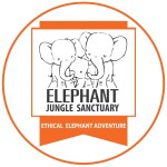 Elephant Jungle Sanctuary Phuket
