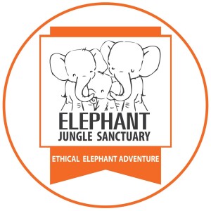 Elephant Jungle Sanctuary Samui
