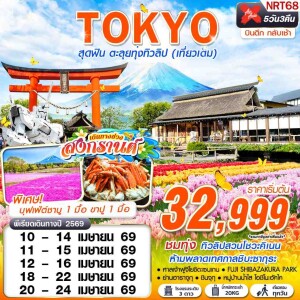 NRT68 ญี่ปุ่น โตเกียว 5วัน 3คืน ตะลุยทุ่งทิวลิป เที่ยวเต็ม