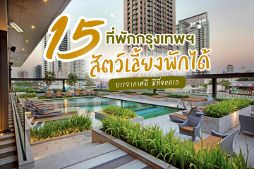 15 ที่พักในกรุงเทพฯ สัตว์เลี้ยงเข้าพักได้ บรรยากาศดี มีที่จอดรถ