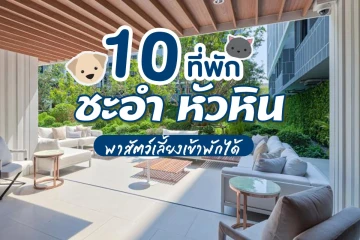 10 ที่พักชะอำ หัวหินพาสัตว์เลี้ยงเข้าพักได้ แฮปปี้ทั้งเจ้าของและน้องสี่ขา