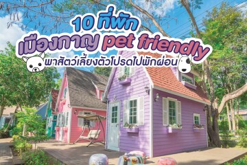 10 ที่พักเมืองกาญ pet friendly พาสัตว์เลี้ยงตัวโปรดไปพักผ่อน