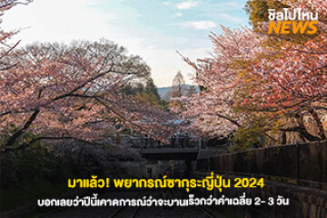 มาแล้ว! พยากรณ์ซากุระญี่ปุ่น 2024 เตรียมวางแพลนเที่ยวกันแบบจัดเต็ม