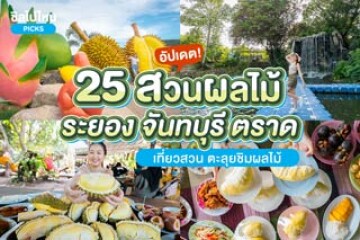 อัปเดต 2567! 30 สวนผลไม้จันทบุรี ตราด ระยอง อิ่มอร่อยสดใหม่จากสวน คุ้มสุด