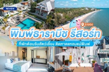 พิมพ์ธาราบีช รีสอร์ท ที่พักต้อนรับสัตว์เลี้ยง เลียบชายหาดแหลมแม่พิมพ์