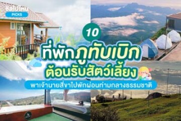 10 ที่พักภูทับเบิกต้อนรับสัตว์เลี้ยง พาเจ้านายสี่ขาไปพักผ่อนท่ามกลางธรรมชาติ