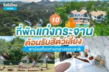 10 ที่พักแก่งกระจาน ต้อนรับสัตว์เลี้ยง พาน้องเที่ยวท่ามกลางธรรมชาติ อัปเดตใหม่ 2567