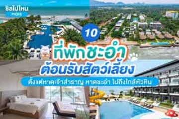 10 ที่พักชะอำต้อนรับสัตว์เลี้ยง ตั้งแต่หาดเจ้าสำราญ หาดชะอำ ไปถึงใกล้หัวหิน อัปเดต 2567