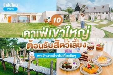 10 คาเฟ่เขาใหญ่ต้อนรับสัตว์เลี้ยง พาเจ้านายสี่ขาไปเที่ยวชิล ๆ อัปเดตใหม่ 2567