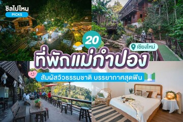 20 ที่พักแม่กำปอง สัมผัสวิวธรรมชาติ บรรยากาศสุดฟิน อัปเดตใหม่ 2567