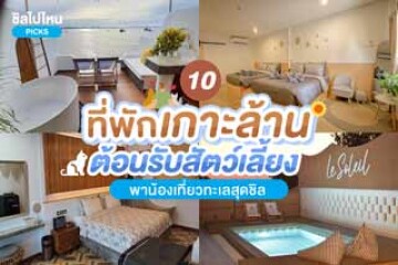 10 ที่พักเกาะล้าน ต้อนรับสัตว์เลี้ยง พาน้องเที่ยวทะเลสุดชิล อัปเดต 2567