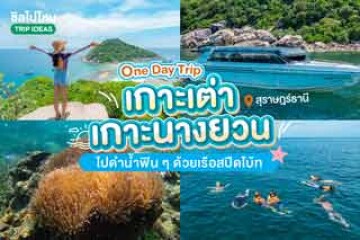 One Day Trip เกาะเต่า เกาะนางยวน ไปดำน้ำฟิน ๆ ด้วยเรือสปีดโบ้ท