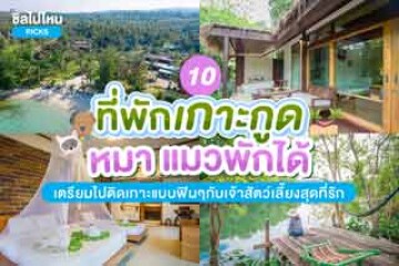 10 ที่พักเกาะกูด หมา-แมวพักได้ เตรียมไปติดเกาะแบบฟินๆกับเจ้าสัตว์เลี้ยงสุดที่รัก อัปเดตใหม่ 2567