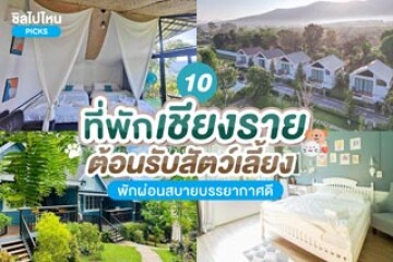 10 ที่พักเชียงราย ต้อนรับสัตว์เลี้ยง พักผ่อนสบายบรรยากาศดี อัปเดต 2567