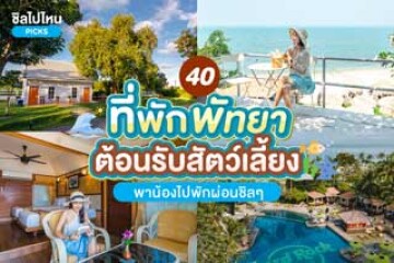 40 ที่พักพัทยา ต้อนรับสัตว์เลี้ยง พาน้องไปพักผ่อนชิล ๆ อัปเดต 2567