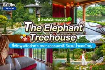 The Elephant Treehouse (บ้านต้นไม้ กาญจนบุรี) ที่พักพูลวิลล่าท่ามกลางธรรมชาติ ริมแม่น้ำแควใหญ่