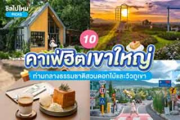 10 คาเฟ่เขาใหญ่ สุดฮิตท่ามกลางธรรมชาติสวนดอกไม้และวิวภูเขา อัปเดต 2567