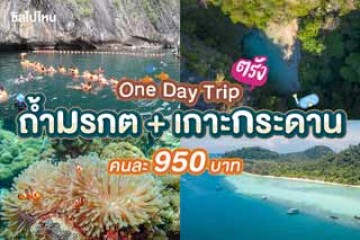 รีวิว One Day Trip ดำน้ำเที่ยวทะเลตรัง 4 เกาะ ถ้ำมรกต + เกาะกระดาน + เกาะแหวน + เกาะเชือก คนละ 950 บาท