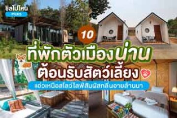 10 ที่พักในตัวเมืองน่าน ต้อนรับสัตว์เลี้ยง แอ่วเหนือสไตล์สโลว์ไลฟ์พร้อมสัมผัสกลิ่นอายความเป็นล้านนา อัปเดตปี 2567