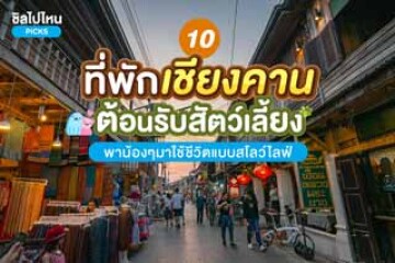 10 ที่พักเชียงคาน ต้อนรับสัตว์เลี้ยง พาน้องๆมาใช้ชีวิตแบบสโลว์ไลฟ์ อัปเดตปี 2567