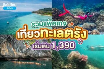 รวมแพ็คเกจเที่ยวทะเลตรัง เที่ยวเกาะไหนดี เริ่มต้น 1,390 บาท/คน