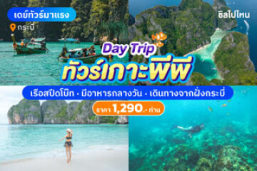 One Day Trip ทัวร์เกาะพีพี พร้อมอาหารกลางวัน + รถรับ-ส่ง เดินทางจากฝั่งกระบี่