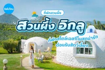 Suanphueng IGLOO (สวนผึ้ง อิกลู) พักสไตล์เอสกีโมสุดน่ารัก พร้อมต้อนรับสัตว์เลี้ยง
