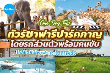 รีวิวทัวร์ One Day Trip ทัวร์ สวนสัตว์ซาฟารีปาร์ค แวะชิลคาเฟ่กาญจนบุรี พร้อมรถรับส่งส่วนตัวจากกรุงเทพฯ
