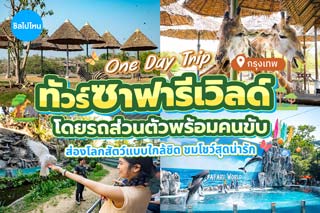 รีวิวทัวร์ One Day Trip ซาฟารีเวิลด์ ส่องโลกสัตว์แบบใกล้ชิด ชมโชว์สุดน่ารัก พร้อมรถรับส่งส่วนตัว