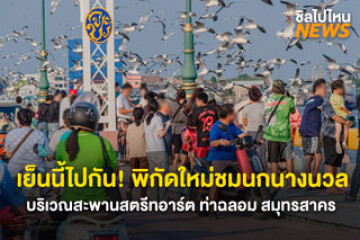 เย็นนี้ไปกัน! พิกัดใหม่ชมนกนางนวล บริเวณสะพานสตรีทอาร์ต ท่าฉลอม สมุทรสาคร ตั้งแต่เวลา 15.30 น.-18.00 น.