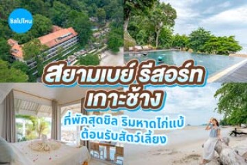 Siam Bay Resort Koh Chang (สยามเบย์ รีสอร์ท เกาะช้าง) ที่พักริมหาดไก่แบ้ บรรยากาศสุดชิล ต้อนรับสัตว์เลี้ยง