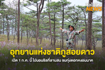สายแบกเตรียมตัว! อุทยานแห่งชาติภูสอยดาว เปิด 1 กรกฎาคมนี้ ไปนอนชิลที่ลานสน ชมทุ่งดอกหงอนนาค