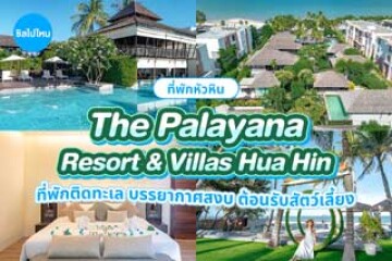 The Palayana Resort & Villas Hua Hin (เดอะ ปาลายานา รีสอร์ท แอนด์ วิลล่า หัวหิน) ที่พักติดทะเล บรรยากาศสงบเป็นส่วนตัว ต้อนรับสัตว์เลี้ยง