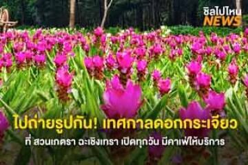 ไปถ่ายรูปกัน! เทศกาลดอกกระเจียว ที่ สวนเภตรา ฉะเชิงเทรา เปิดทุกวัน มีคาเฟ่ให้บริการ สามารถพาสัตว์เลี้ยงไปได้