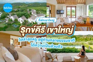 Roukh Kiri Khaoyai (รุกข์คีรี เขาใหญ่) วิลล่าสุดหรู อยู่ท่ามกลางธรรมชาติ ได้ความเป็นส่วนตัว