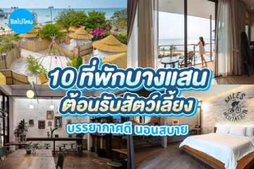 10 ที่พักบางแสนต้อนรับสัตว์เลี้ยง บรรยากาศดี นอนสบาย อัปเดต 2569
