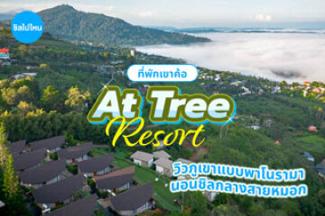 At Tree Resort (แอททรี รีสอร์ท) ที่พักเขาค้อ วิวภูเขาแบบพาโนรามา นอนชิลกลางสายหมอก