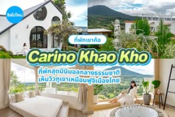 Carino Khaokho (คารีโน่ เขาค้อ) ที่พักสุดมินิมอลกลางธรรมชาติ เห็นวิวภูเขาเหมือนฟูจิเมืองไทย