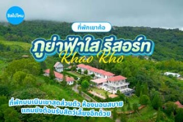 Phuyafahsai The Resort Khaokho (ภูย่าฟ้าใส รีสอร์ท เขาค้อ) ที่พักบนเนินเขาสุดส่วนตัว ห้องนอนสบาย แถมยังต้อนรับสัตว์เลี้ยงอีกด้วย