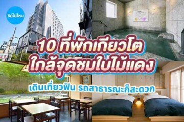 10 ที่พักเกียวโต ใกล้จุดชมใบไม้แดง เดินเที่ยวฟิน รถสาธารณะก็สะดวก อัปเดต 2569